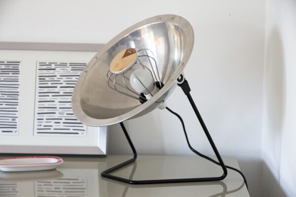 Calor Parabola design lamp